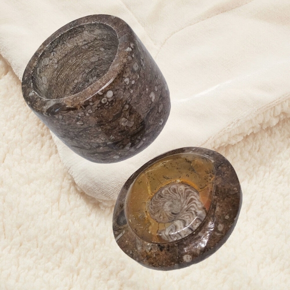 Ammonite Fossil on the Trinket Box's Lid. - Picture 3 of 9